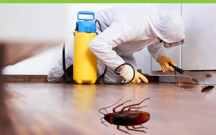 cockroaches pest control services