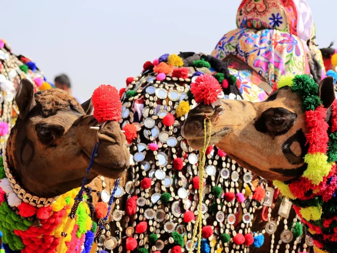 Pushkar Tour