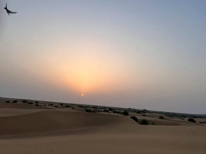 Desert Camp In Jaisalmer