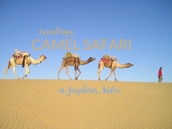 Best Camel Safari in Jaisalmer