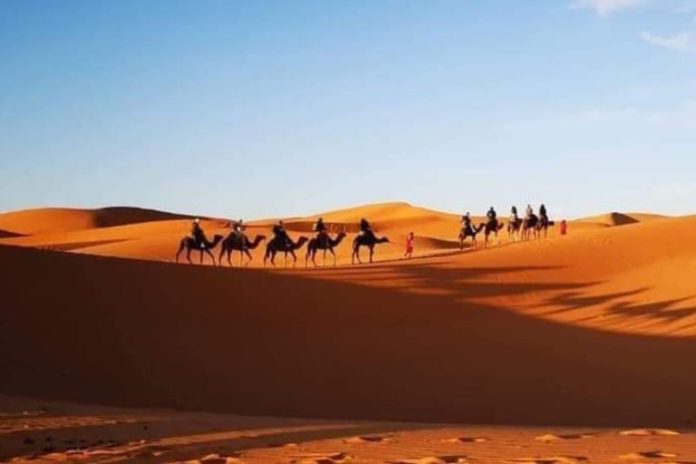 Desert Camp In Jaisalmer