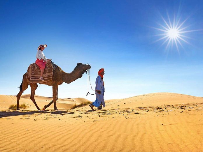 Camel Safari in Jaisalmer