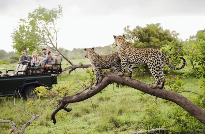 Ranthambore Safari Booking